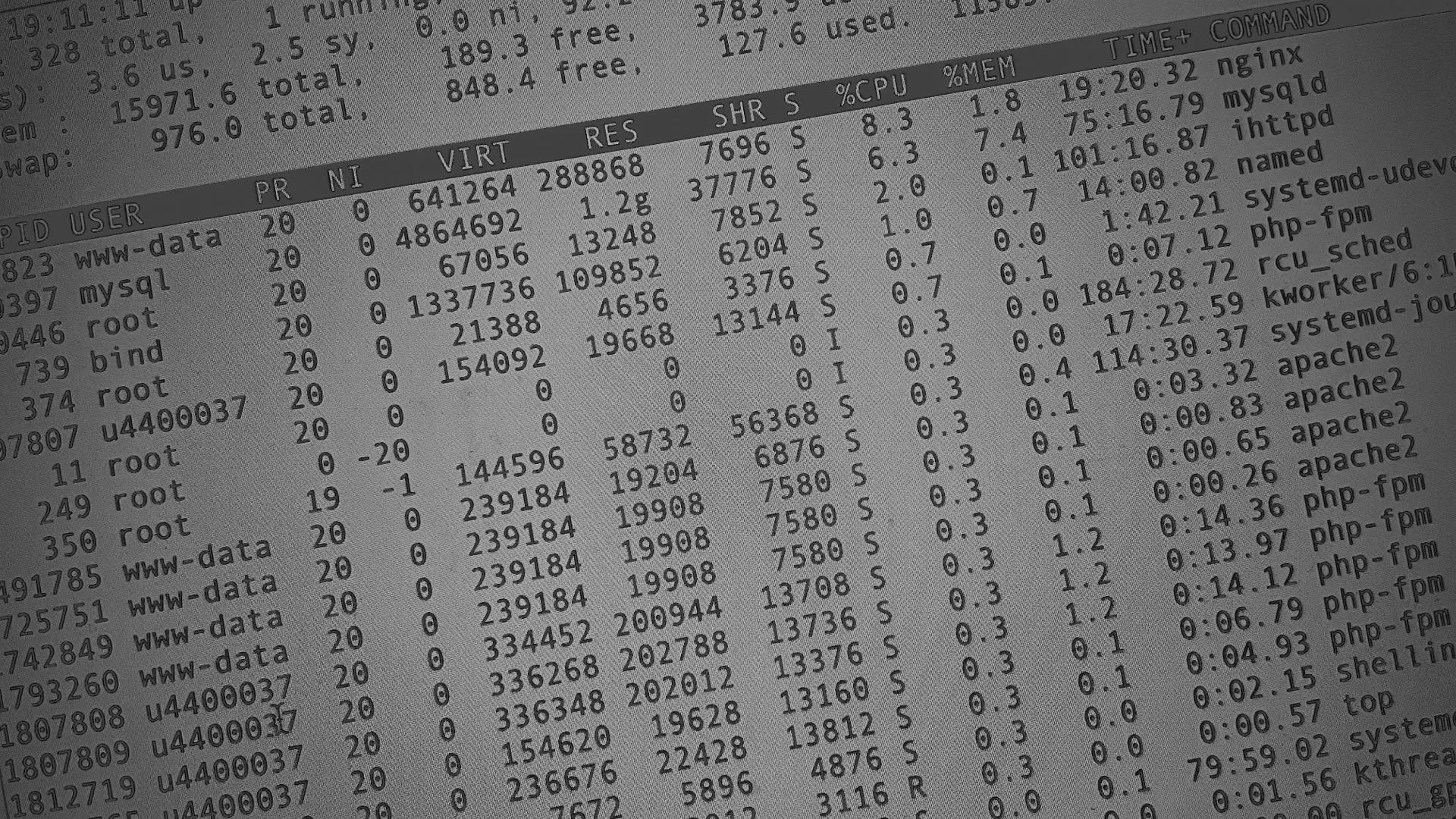 Настройка сервера в Ардоне