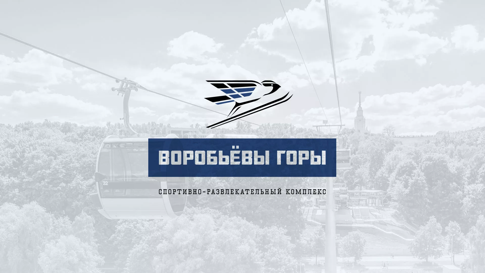 Разработка сайта в Ардоне для спортивно-развлекательного комплекса «Воробьёвы горы»