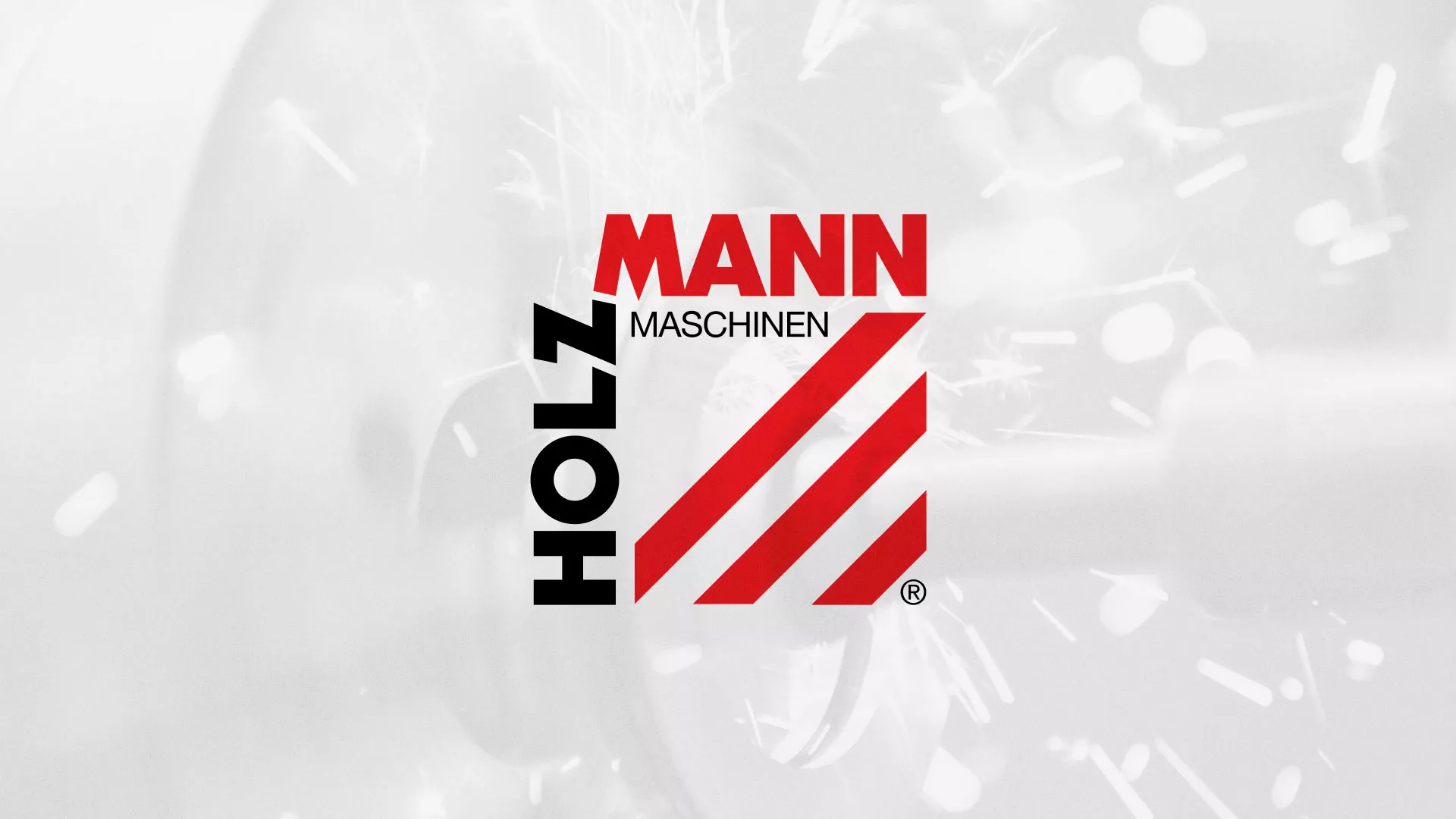 Создание сайта компании «HOLZMANN Maschinen GmbH» в Ардоне