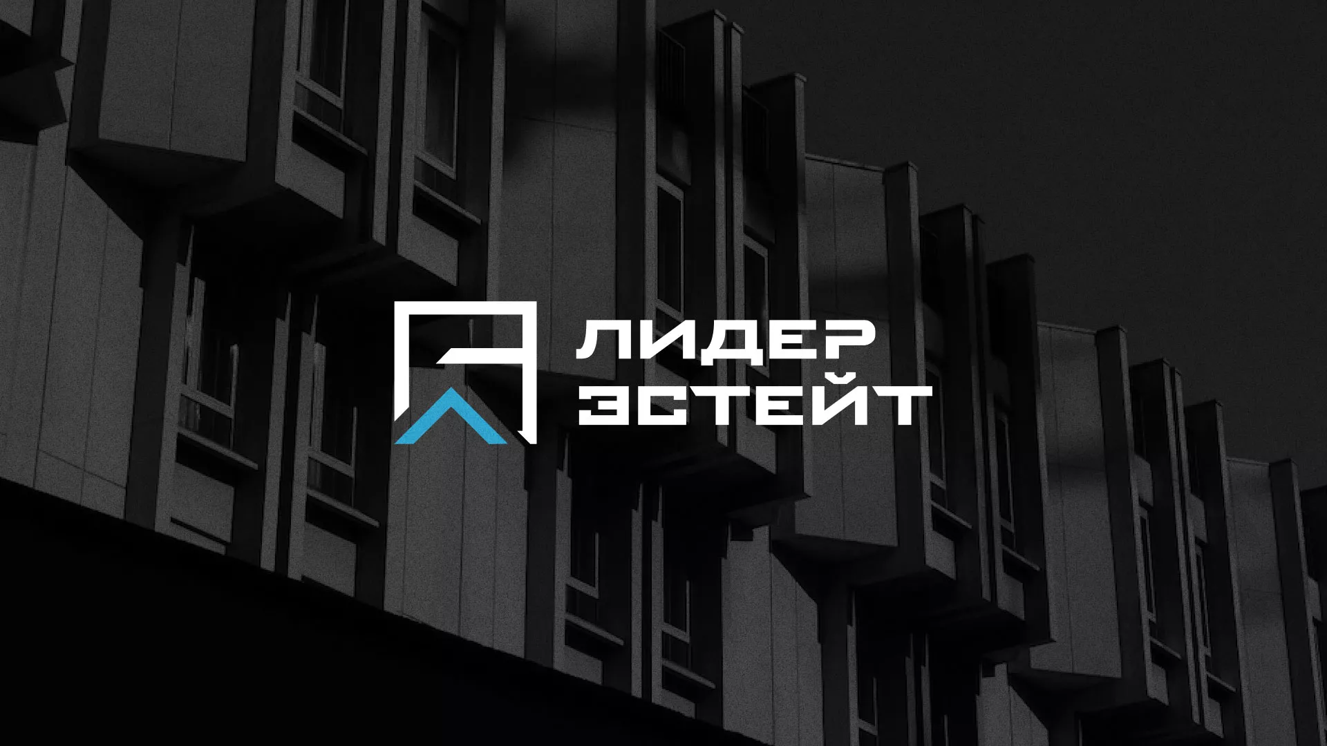 Разработка логотипа агентства недвижимости «Лидер Эстейт» в Ардоне