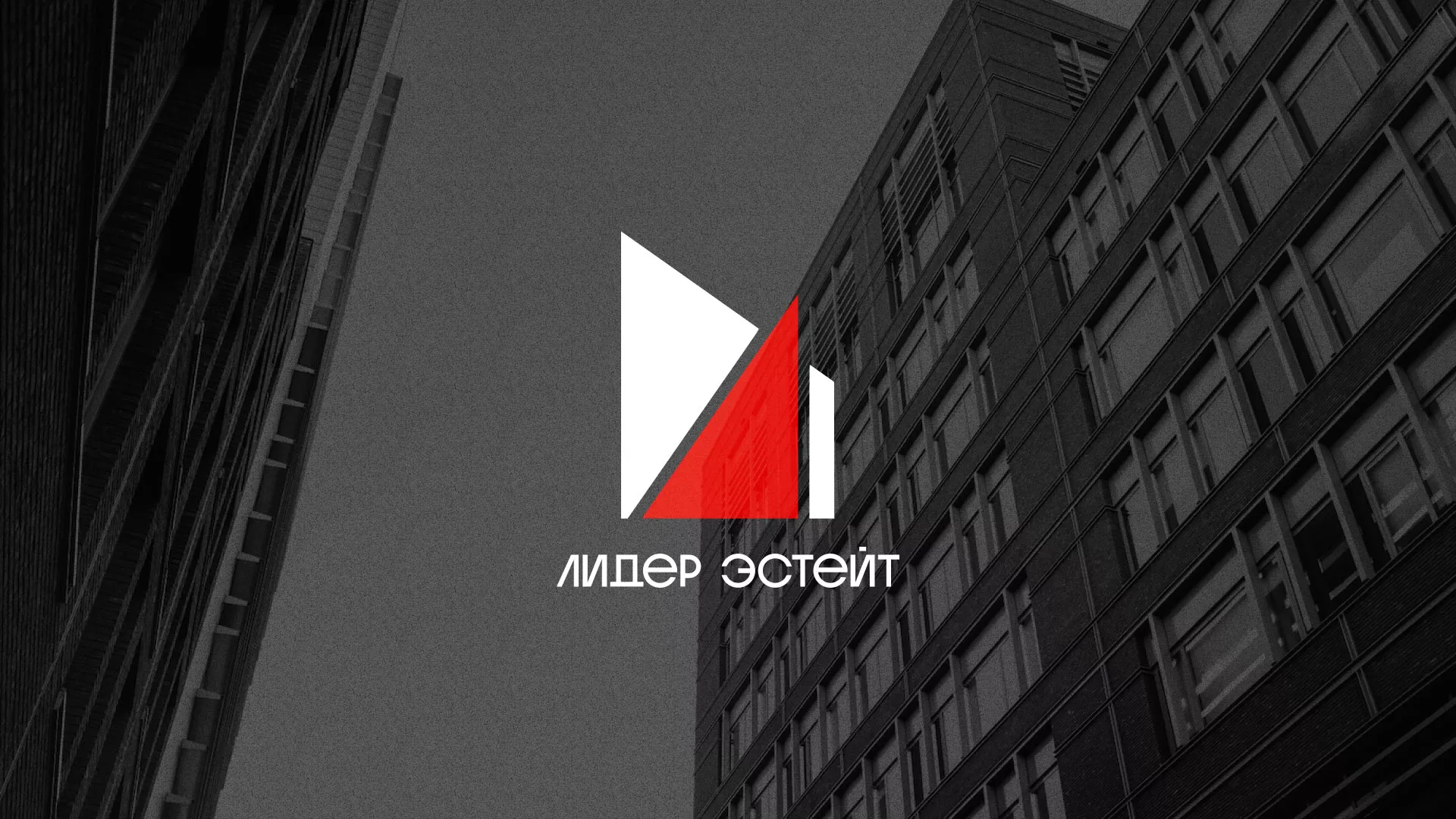 Сделали логотип для агентства недвижимости «Лидер Эстейт» в Ардоне